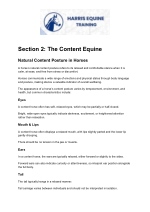 Module 3 — course manual page sneak peek