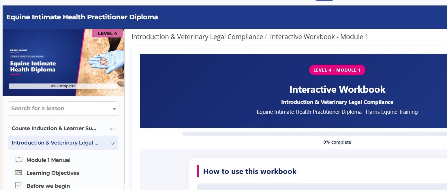 Module 1 — interactive workbook sneak peek